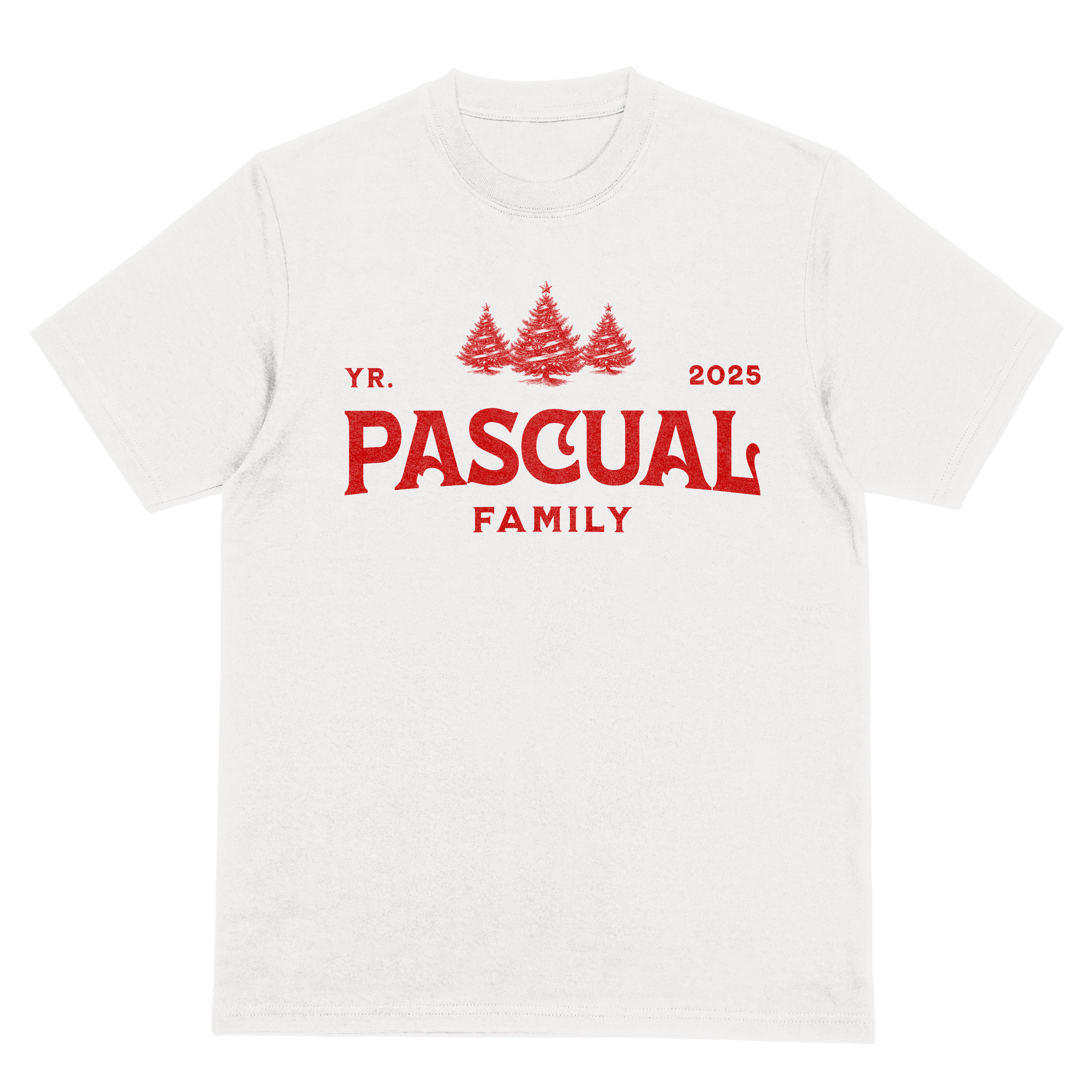 D3 Customized Family Christmas T-Shirt