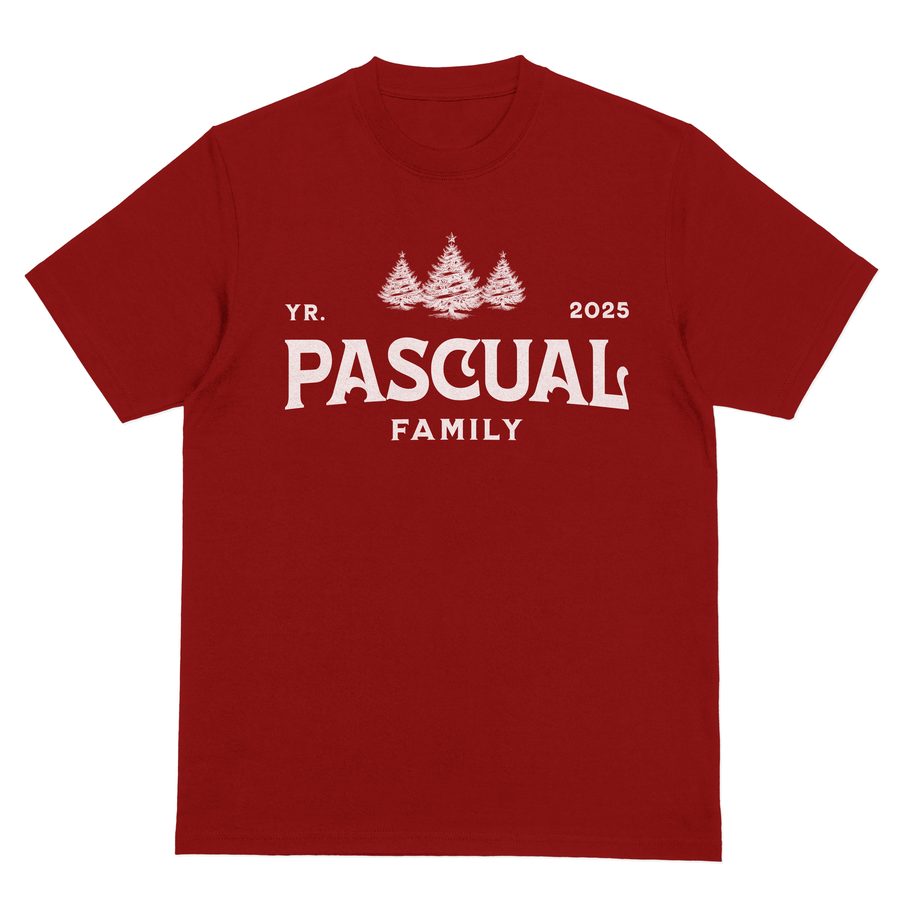 D3 Customized Family Christmas T-Shirt